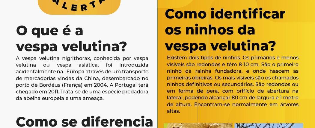 Folheto informativo frente