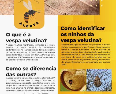 Folheto informativo frente