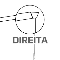Direita